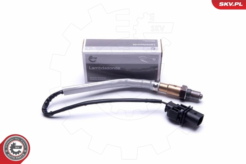 Oxygen Sensor